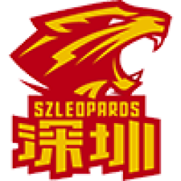 深圳队